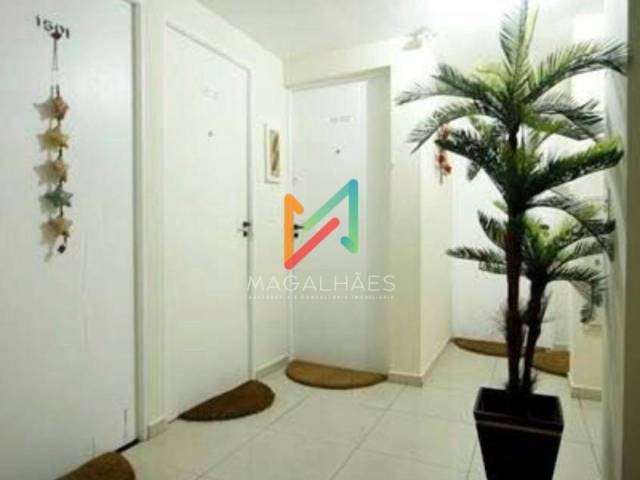 #540 - Apartamento Usado para Locação em Recife - PE