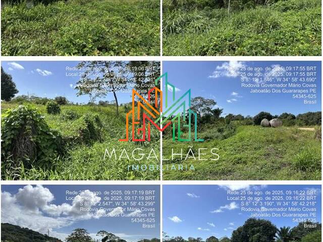 #583 - Área para Venda em Jaboatão dos Guararapes - PE