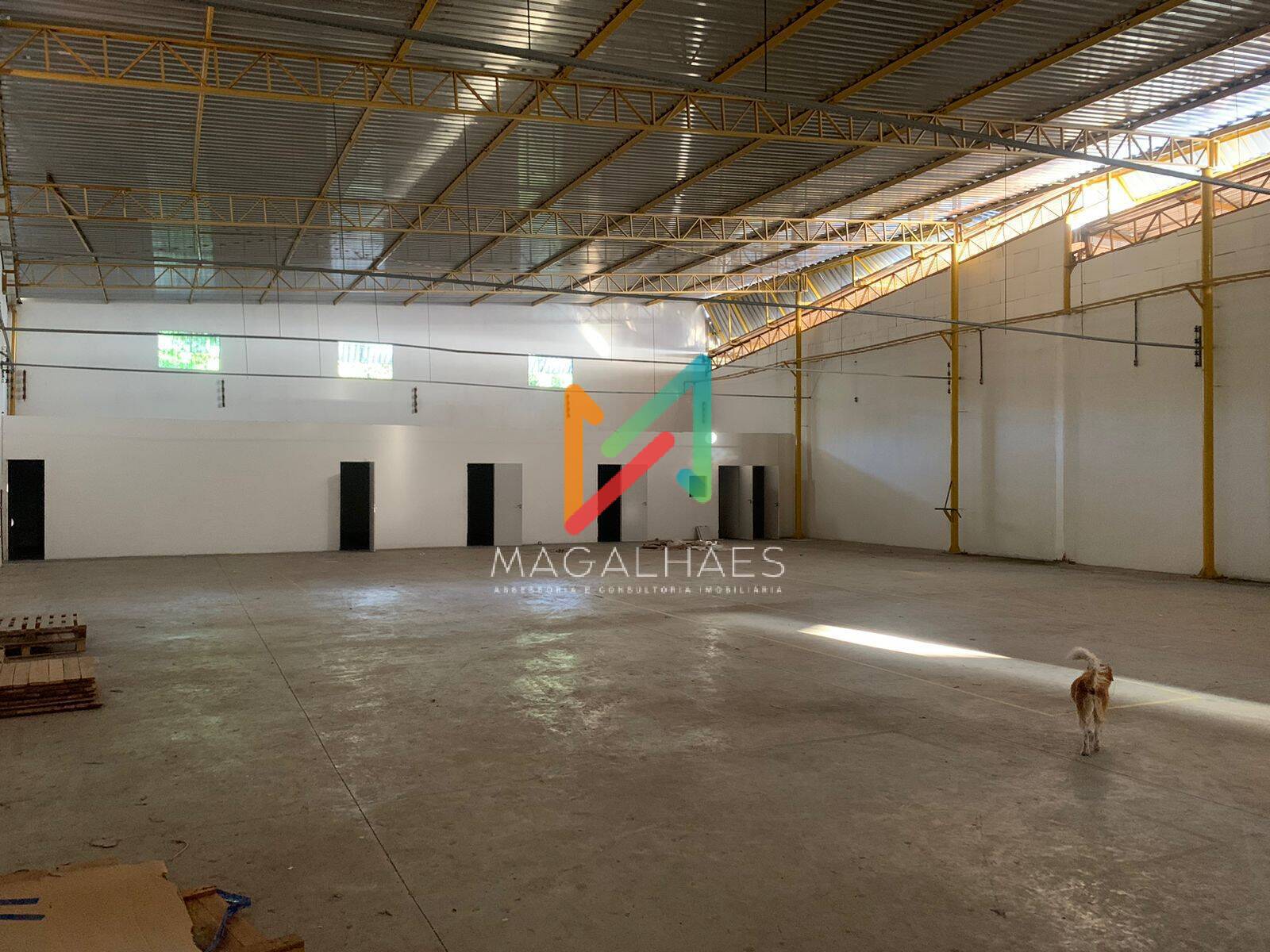 Depósito-Galpão, 1234 m² - Foto 4
