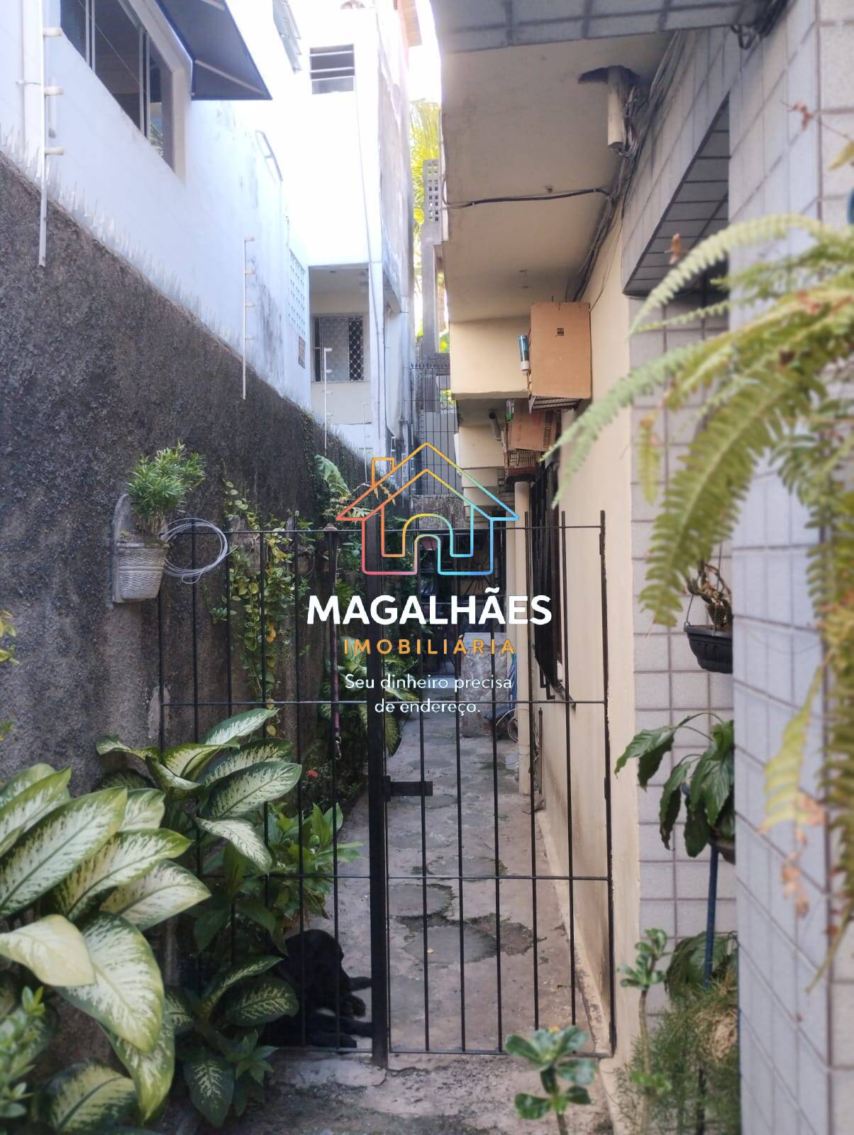 Casa, 4 quartos, 218 m² - Foto 29